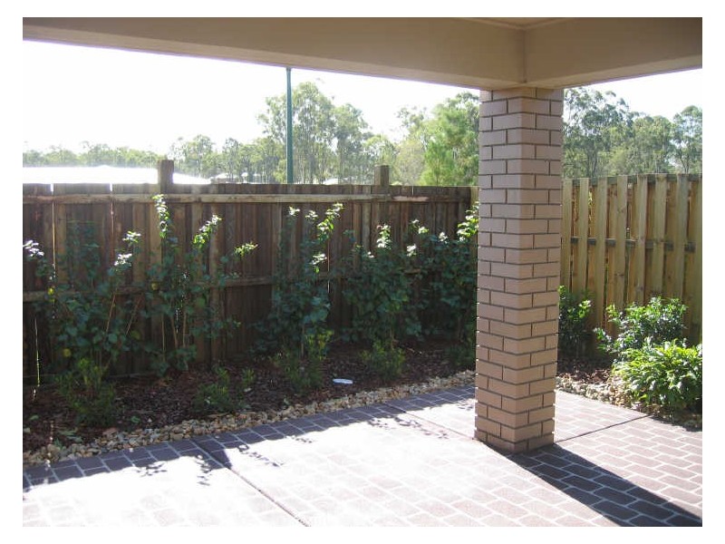 2 Water lily Circuit, Carseldine QLD 4034