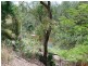 8 Morgan Road, Albany Creek QLD 4035
