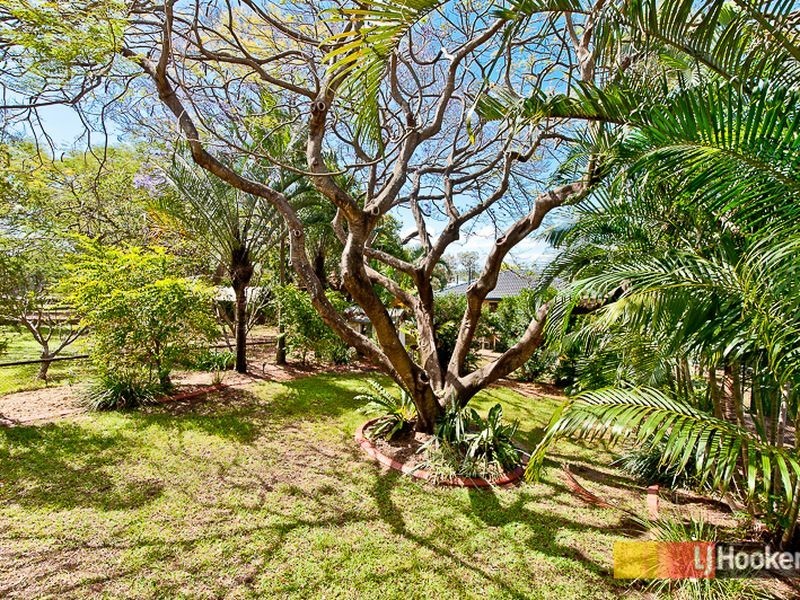 11 Janelle Street, Aspley QLD 4034