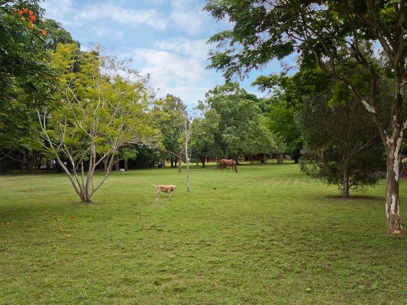 307 Albany Creek Road, Bridgeman Downs QLD 4035