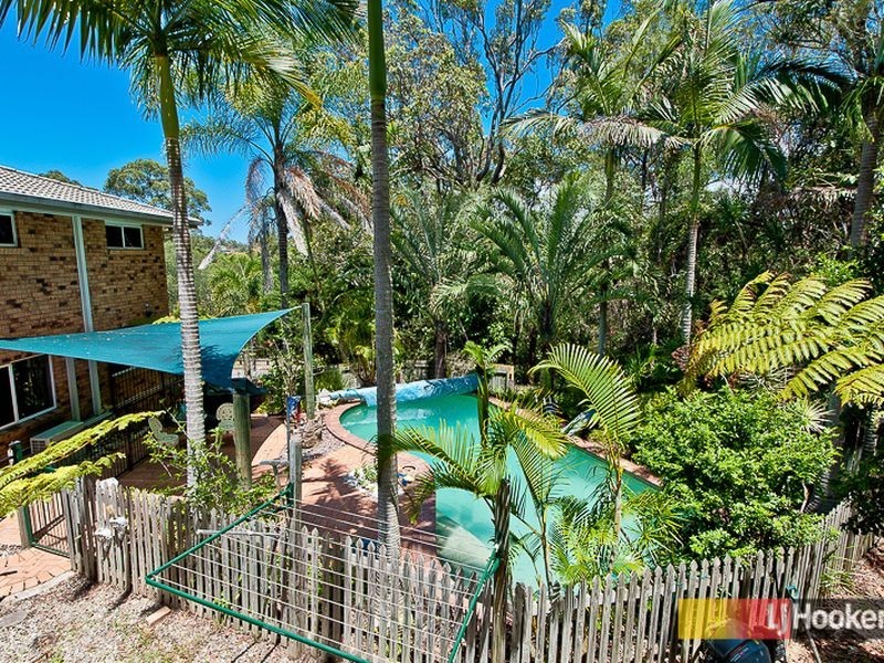 53 Roebig Street, Aspley QLD 4034