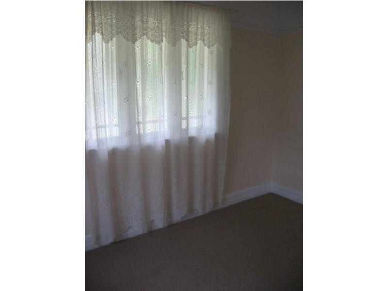 59 Hall Street, Alderley QLD 4051