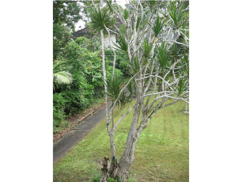 59 Hall Street, Alderley QLD 4051