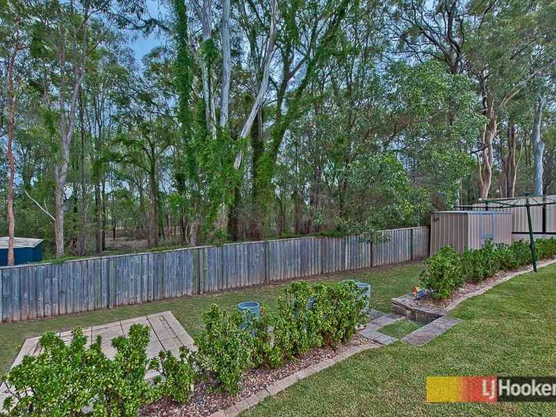 40 Elliot Street, Carseldine QLD 4034