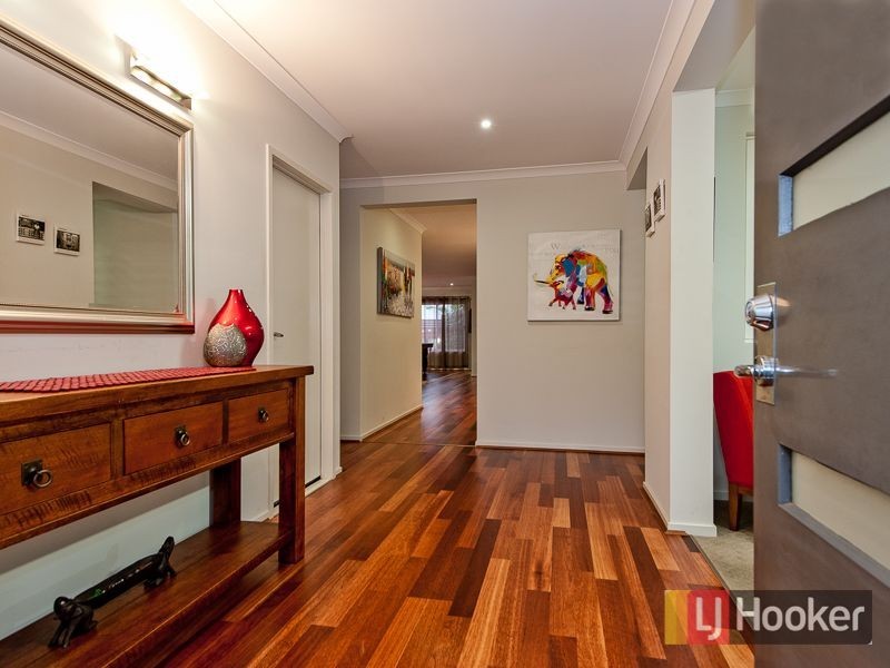 41 Elliot Street, Carseldine QLD 4034