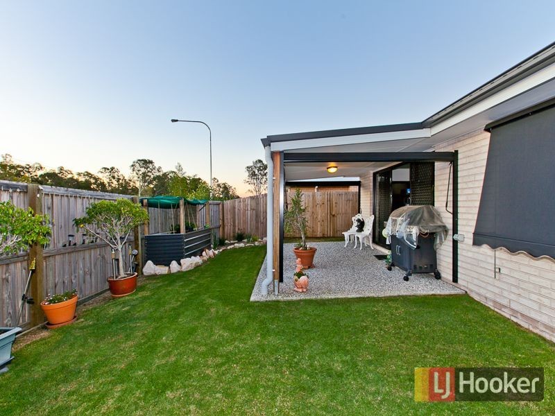 53 Sedgemoor Street, Carseldine QLD 4034