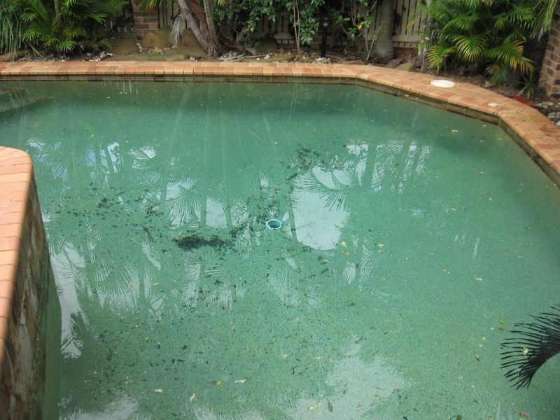 114 Dorville Road, Carseldine QLD 4034