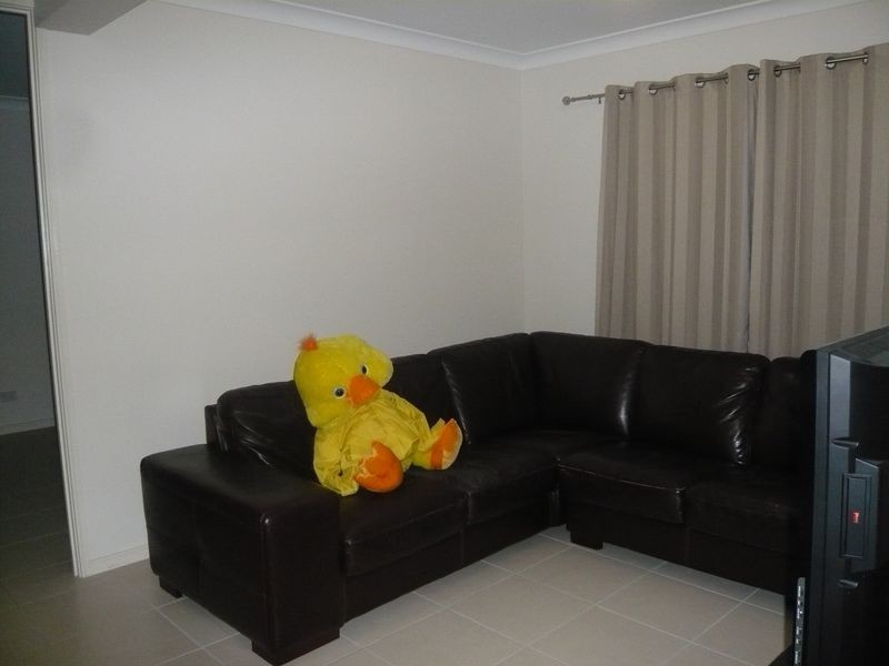 45 Raynbird Place, Carseldine QLD 4034