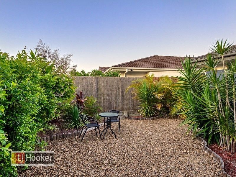 2 Nardoo Close, Carseldine QLD 4034
