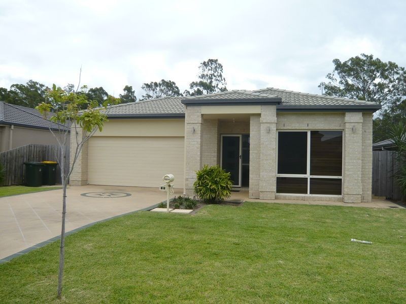 19 Sedgemoor Street, Carseldine QLD 4034