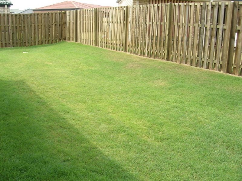 59 Aldea Circuit, Bracken Ridge QLD 4017