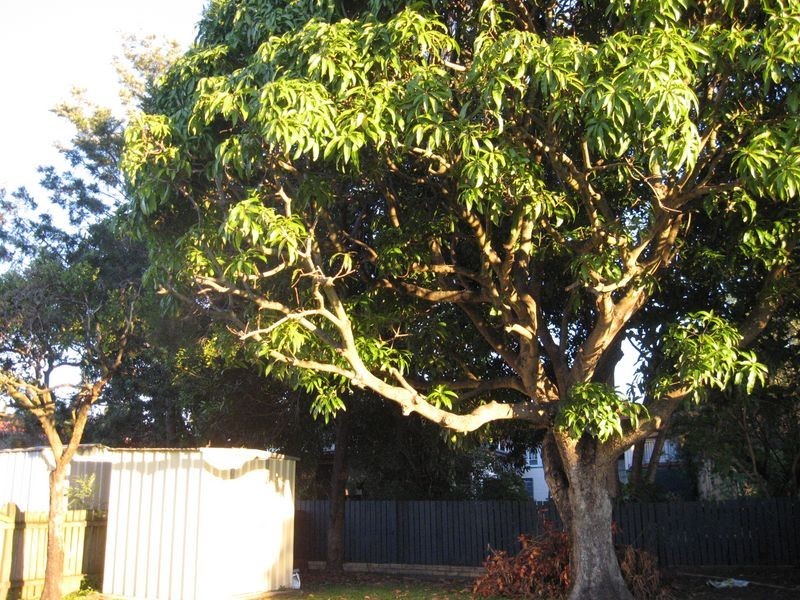 300 Robinson Road, Geebung QLD 4034