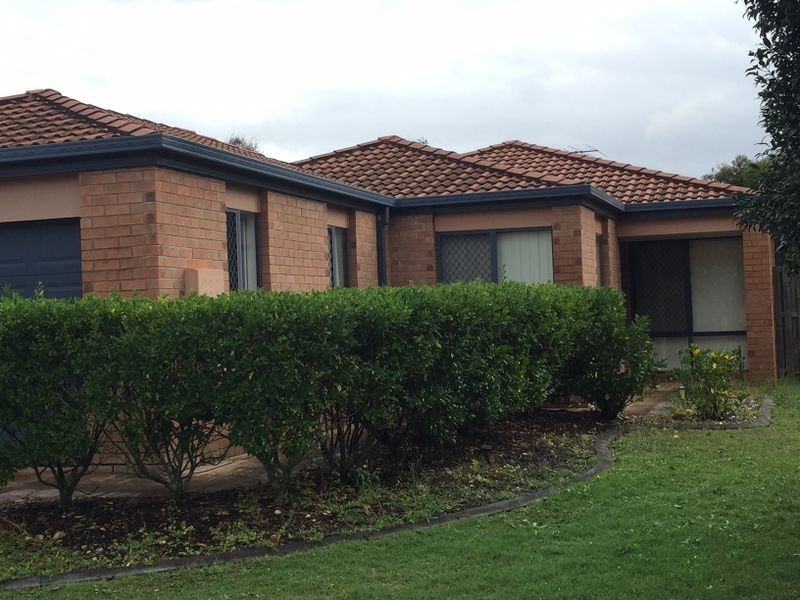 12 Figtree Place, Bracken Ridge QLD 4017