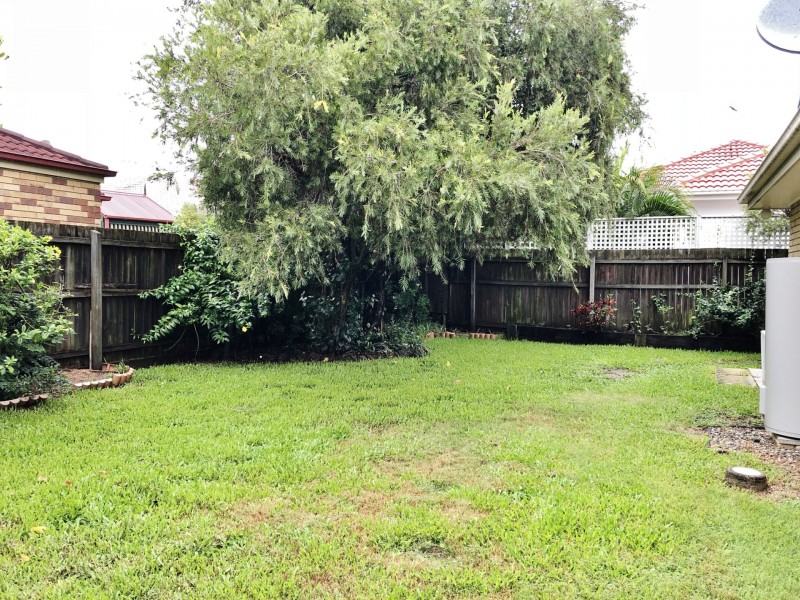 24 Accolade Street, Carseldine QLD 4034