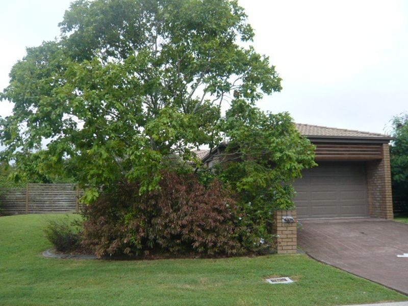 35 Macaranga Crescent, Carseldine QLD 4034