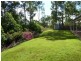 17 Beech Drive, Cashmere QLD 4500