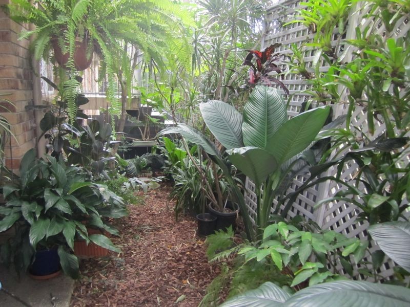 1/161 Allen Street, Hamilton QLD 4007