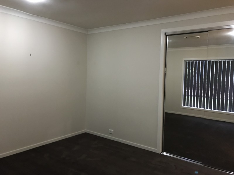 24 Singleton Place, Carseldine QLD 4034