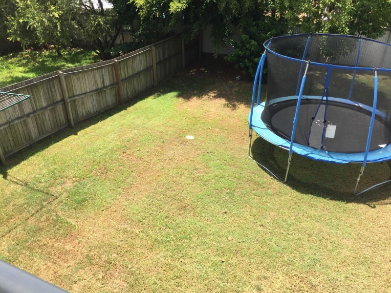 5 Shackleton Street, Kedron QLD 4031