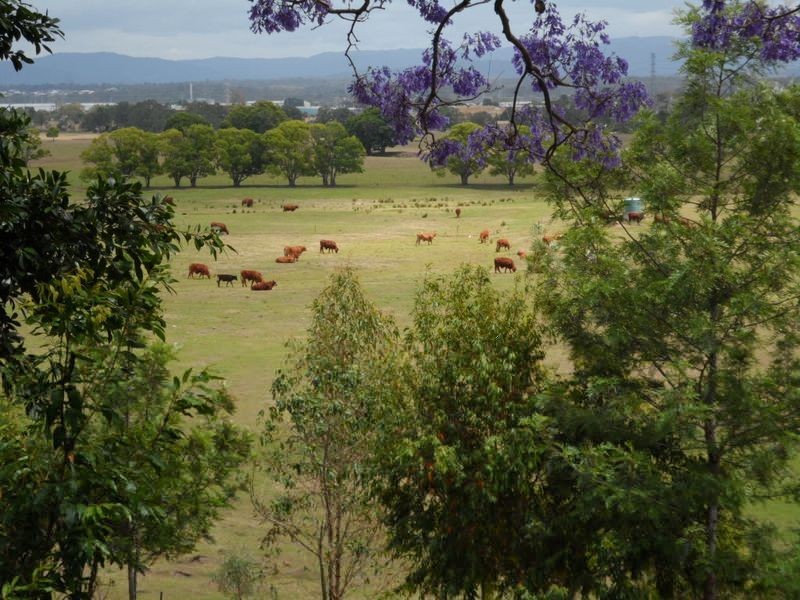 2040 Gympie Road, Bald Hills QLD 4036