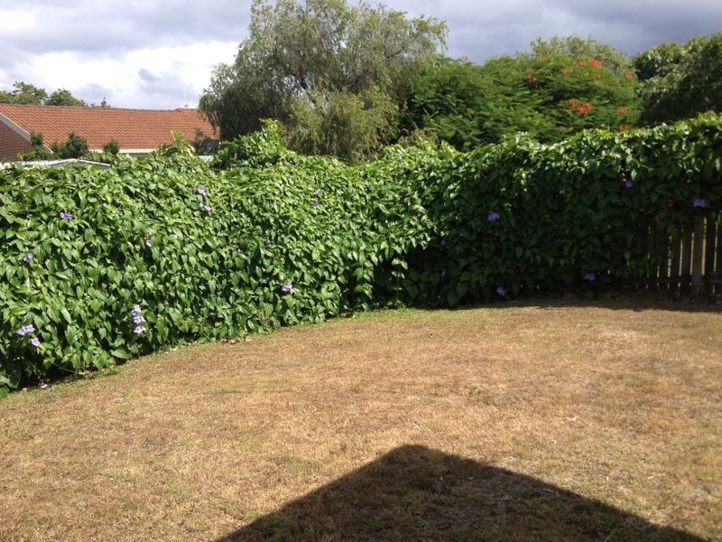 40 Silkyoak Cct, Fitzgibbon QLD 4018