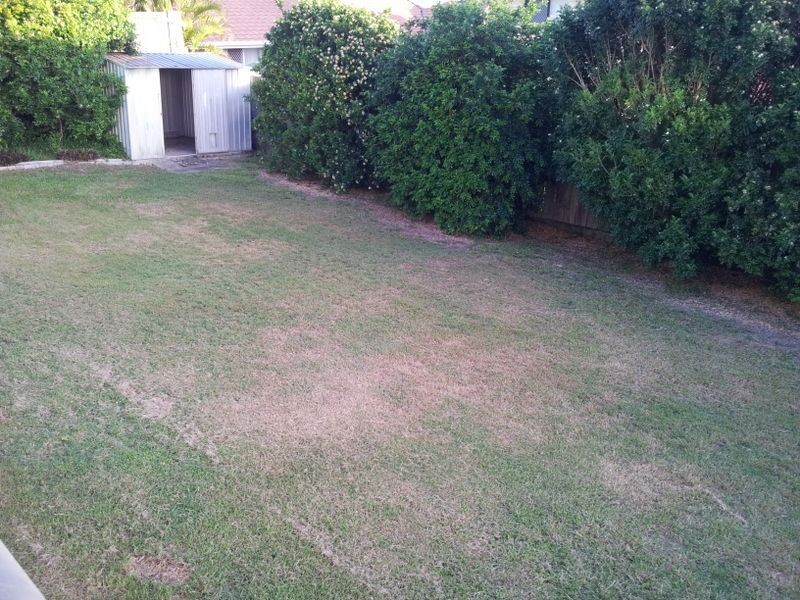 68 Phillips Street, Bracken Ridge QLD 4017