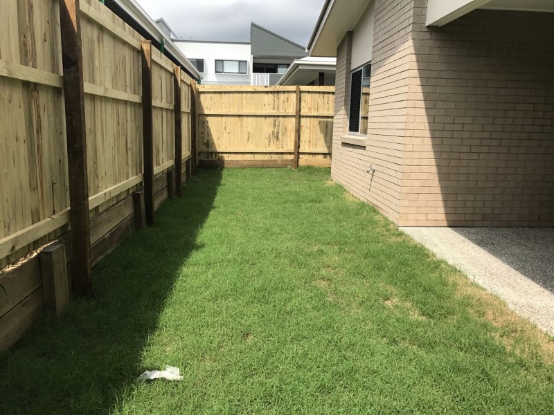 20 Sedgemoor Street, Carseldine QLD 4034