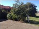 3 Elizabeth Place, Brighton QLD 4017