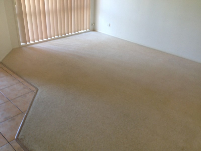 3 Elizabeth Place, Brighton QLD 4017