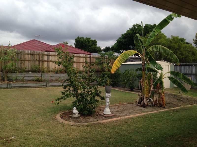 3 Moorrinya Cct, North Lakes QLD 4509