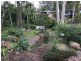 46 Tarnook Drive, Ferny Hills QLD 4055