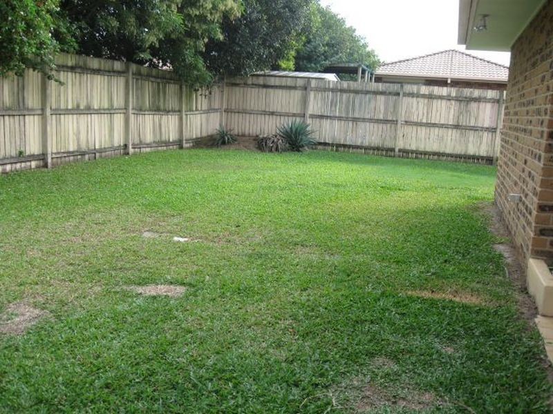 17 Sanicle Street, Bald Hills QLD 4036