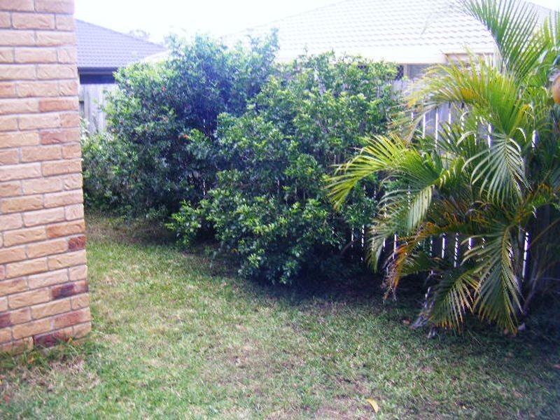 6/17 Denham Street, Bracken Ridge QLD 4017