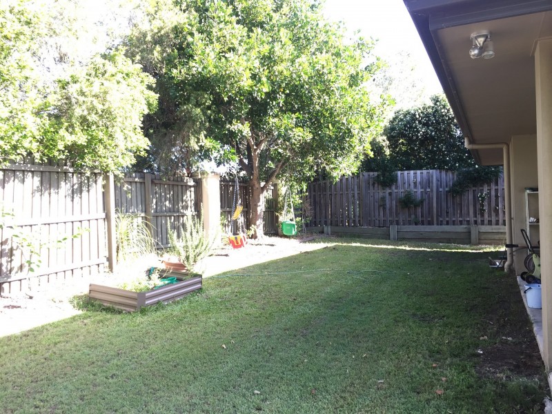 29 Cyperus Crescent, Carseldine QLD 4034