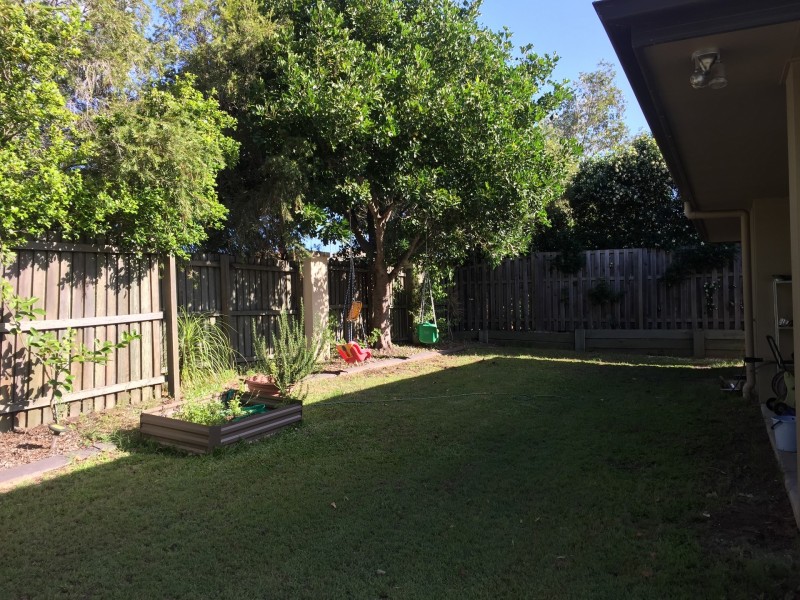 29 Cyperus Crescent, Carseldine QLD 4034