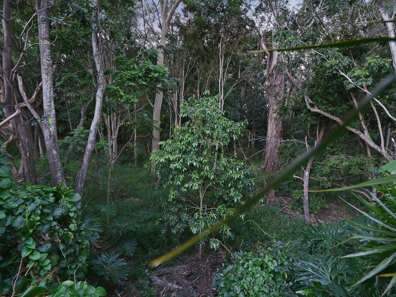 33 Bowen Avenue, Albany Creek QLD 4035