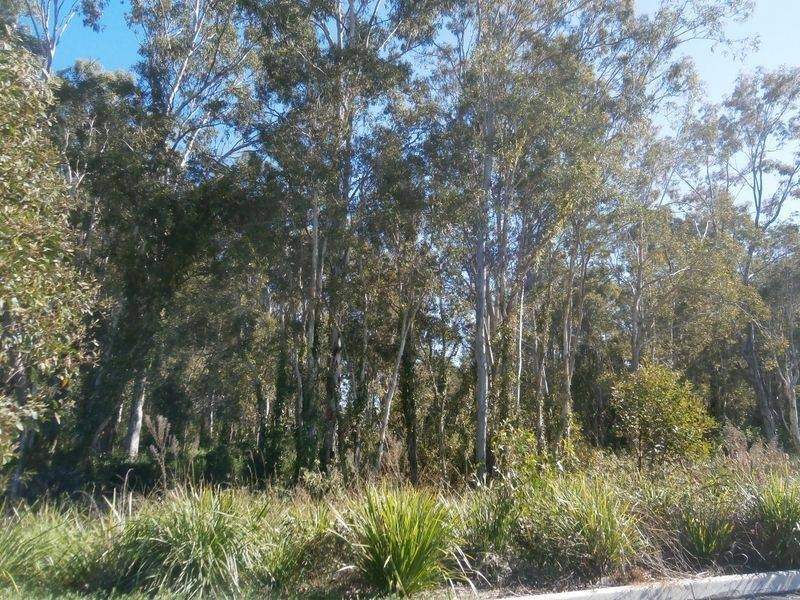 47 Windjana Cresent, Fitzgibbon QLD 4018