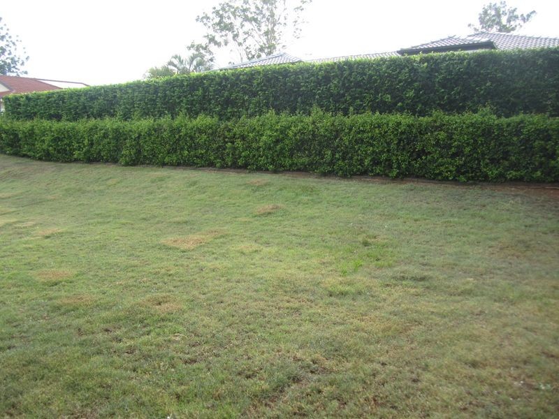 16 Ridley Road, Bridgeman Downs QLD 4035