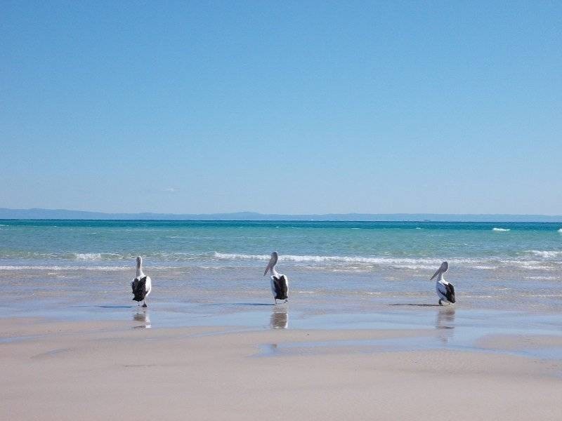 93 The Strand, Bulwer QLD 4025