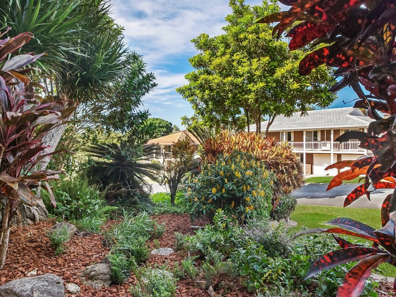 19 Cabernet Street, Carseldine QLD 4034
