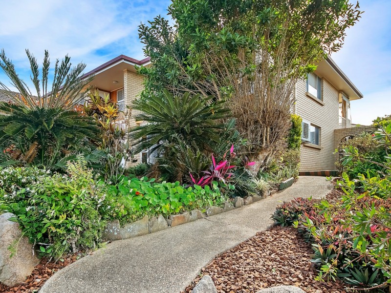 19 Cabernet Street, Carseldine QLD 4034