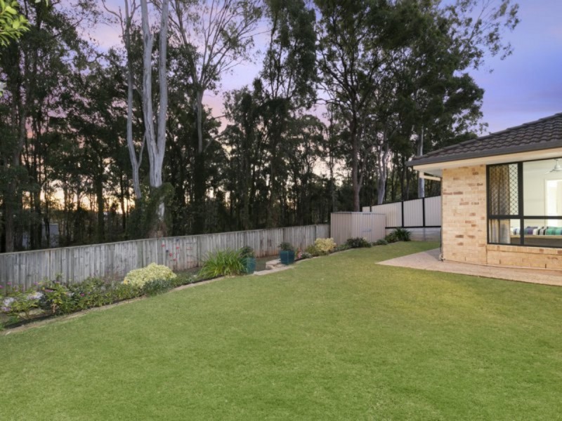 40 Elliot Street, Carseldine QLD 4034