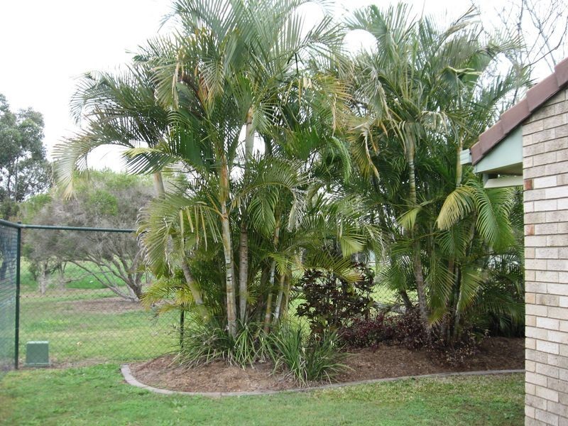 12 Marcellin Place, Boondall QLD 4034