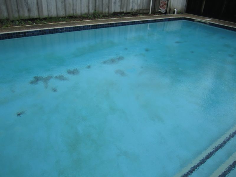 84 Roscommon Road, Boondall QLD 4034