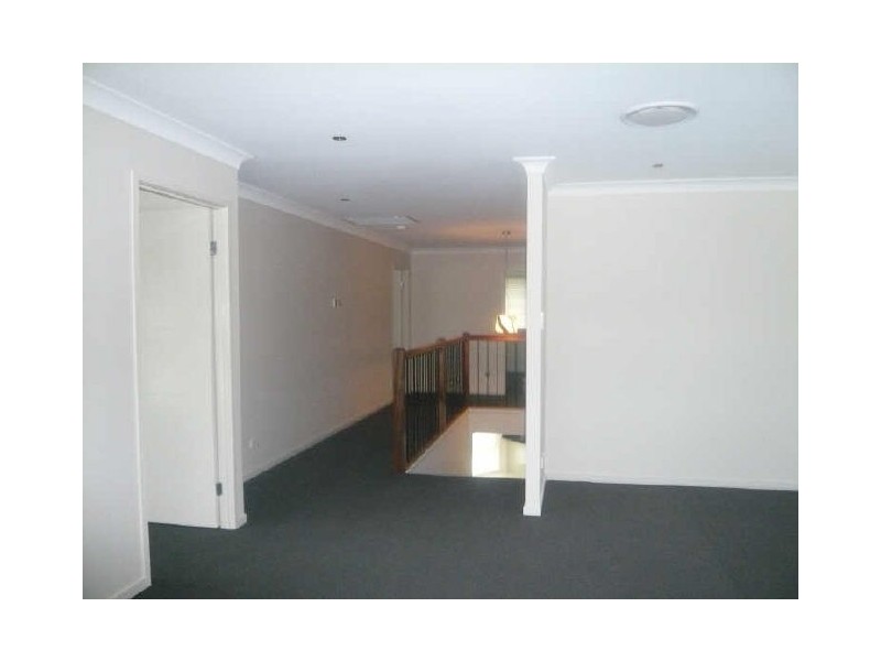 5 Petrie Crescent, Aspley QLD 4034