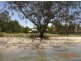 161 Bishop Road, Beachmere QLD 4510