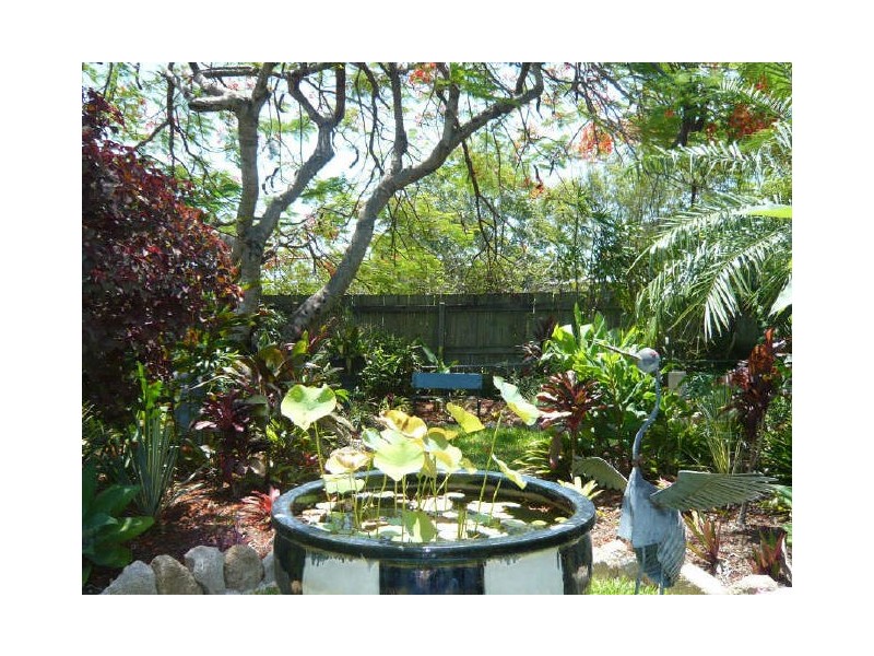 256 Ellison Road, Geebung QLD 4034