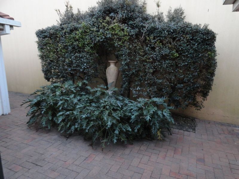 20 Emerton Crescent, Robina QLD 4226