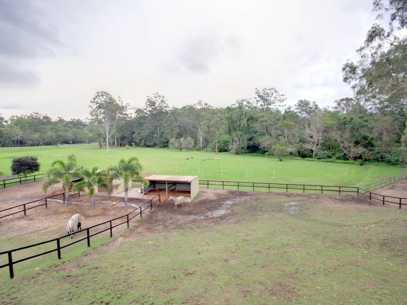 10 Birdlife Court, Nerang QLD 4211