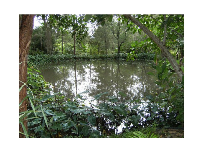 60 Mount Nathan Road, Nerang QLD 4211